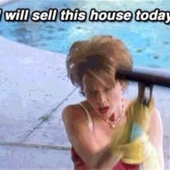 Meet your Posher, Harper - Picture 1 of 1